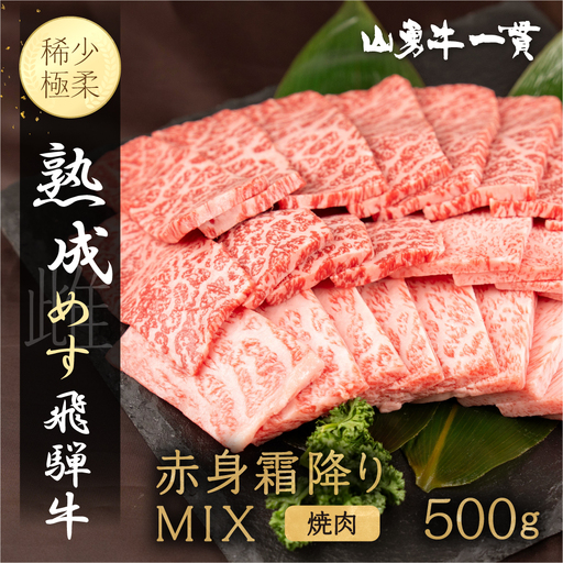 熟成めす 飛騨牛 山勇牛 焼肉 赤身 霜降り MIX 500g 飛騨牛 焼肉 赤身 霜降り