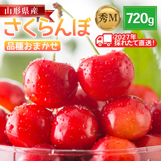 FYN6-626 ≪2027年先行予約≫山形県産 品種おまかせ さくらんぼ(佐藤錦・紅秀峰など) 720g(180g×4パック) 秀品 M以上 フードパック詰め 2027年6月中旬から順次発送 果物 くだもの フルーツ サクランボ チェリー 自宅 家庭 産地直送 山形県 西川町 月山