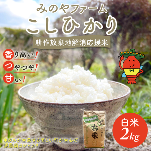 みのやファーム耕作放棄地解消応援米 こしひかり 2kg(白米)O