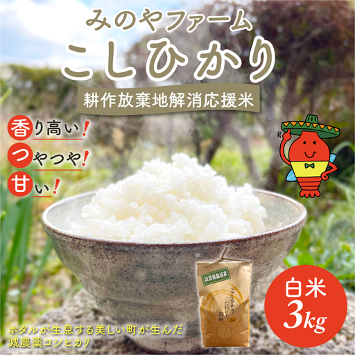 みのやファーム耕作放棄地解消応援米　こしひかり　3ｋｇ（白米）ONJF002