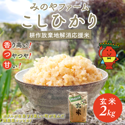 みのやファーム耕作放棄地解消応援米　こしひかり　2ｋｇ（玄米）ONJF004