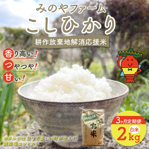[3ヶ月定期便]みのやファーム耕作放棄地解消応援米 こしひかり 2kg(白米)O