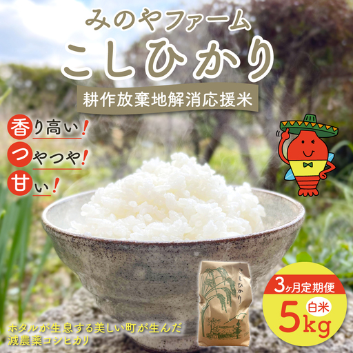【3ヶ月定期便】みのやファーム耕作放棄地解消応援米　こしひかり　5ｋｇ（白米）ONJF009