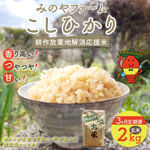 【3ヶ月定期便】みのやファーム耕作放棄地解消応援米　こしひかり　2ｋｇ（玄米）ONJF010