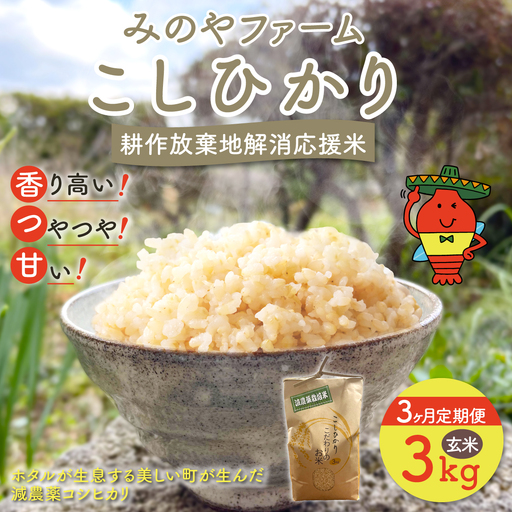 【3ヶ月定期便】みのやファーム耕作放棄地解消応援米　こしひかり　3ｋｇ（玄米）ONJF011