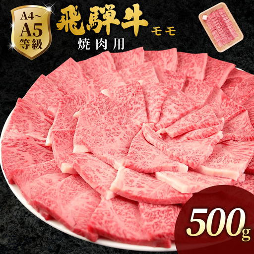 【最短発送】 飛騨牛 もも 焼肉 500g BBQ 赤身 小分け 肉のひぐち