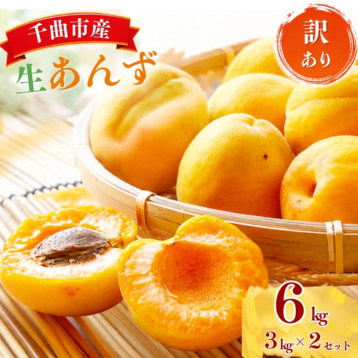 [2027年先行予約]加工用(訳あり)生あんず 6kg(3kg×2) | あんず 長野県千曲市産