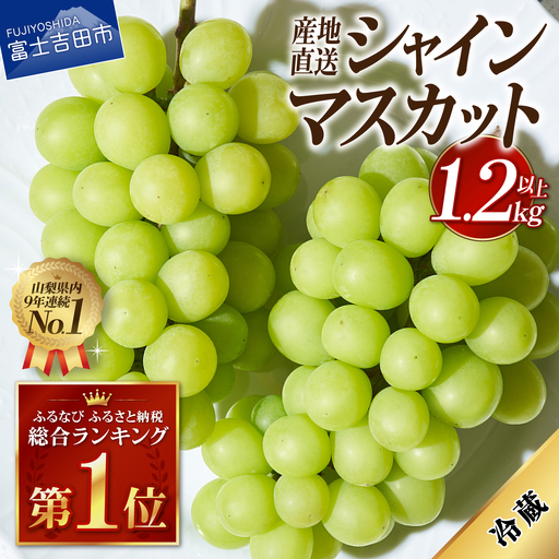 シャインマスカット 【2026年発送】高級 山梨県産 シャインマスカット 2～3房 （1.2kg以上） フルーツ