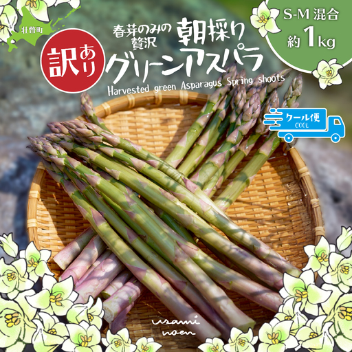 【先行予約】【2027年4月中旬頃より発送】【訳あり】朝採りグリーンアスパラ（春芽）S-M混合 約1kg 北海道壮瞥町産 SBTAJ038