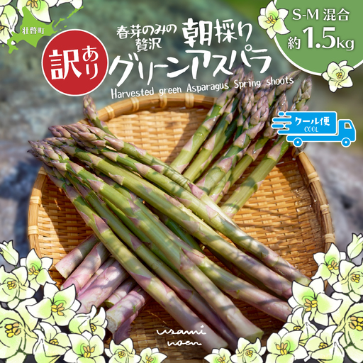 【先行予約】【2027年4月中旬頃より発送】【訳あり】朝採りグリーンアスパラ（春芽）S-M混合 約1.5kg 北海道壮瞥町産 SBTAJ039