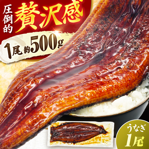 【土用の丑配送対応】【1尾約500g】超特大うなぎ蒲焼×1尾　広川町 / 株式会社イールファクトリー[AFBS031]