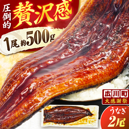 【土用の丑配送対応】【うなぎの蒲焼】 うなぎの蒲焼 約1kg (約500g×2尾) [AFBS032-CP]