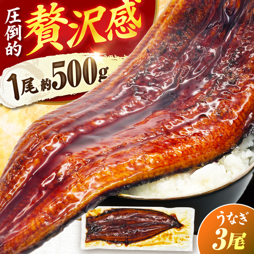 【土用の丑配送対応】【1尾約500g】超特大うなぎ蒲焼×3尾　広川町 / 株式会社イールファクトリー[AFBS033]