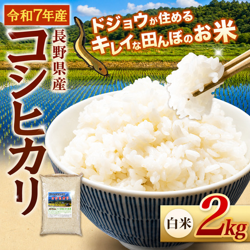 『どじょうのいる田んぼのお米』コシヒカリ 白米 2kg | 馬場農園
