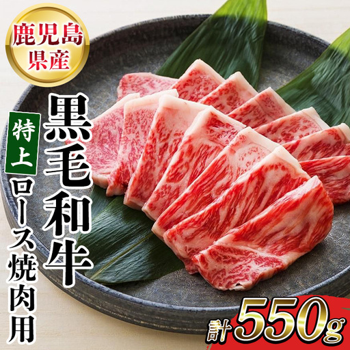 鹿児島県産 黒毛和牛 特上ロース 550g 牛肉【00-030-31】