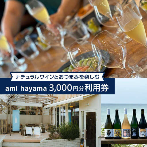 ナチュラルワインとおつまみを楽しむ利用券 3，000円分【ami hayama】[ASBI003]