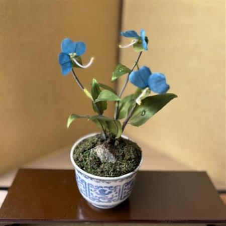 [夏 つゆ草]四季を彩る創作草もの盆栽(工芸品)〜工房椿[配送不可地域:離島・北海道・沖縄県]