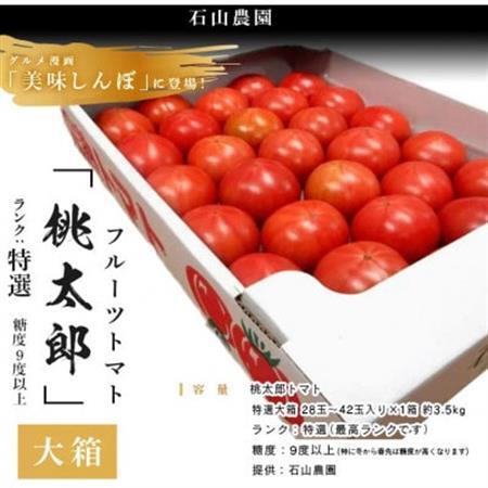 【先行受付2027年発送】美味しんぼに登場　トマト「桃太郎」大箱 28玉～42玉　特選　糖度9度以上【配送不可地域：離島・沖縄県】【1604235】
