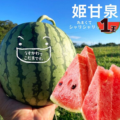[先行予約]京丹後・俵野産 小玉スイカ 姫甘泉 1玉(2027年7月中旬〜発送)
