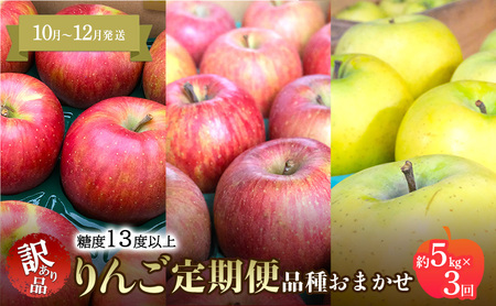 りんご定期便家庭用訳あり 青森県産 りんご【約5kg×3回】【定期便】