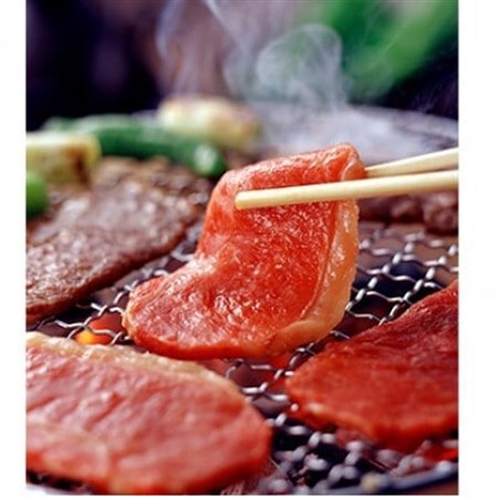 GI くまもとあか牛 焼肉 500g(美里町)[配送不可地域:離島]