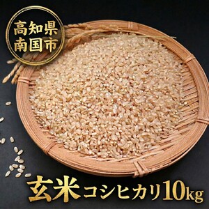 玄米 コシヒカリ 10キロ 10kg 数量限定 米