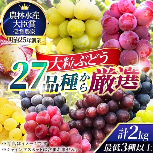 ぶどう詰合せ 大粒 27品種 希少 ぶどう詰合せ[約2kg][先行予約]