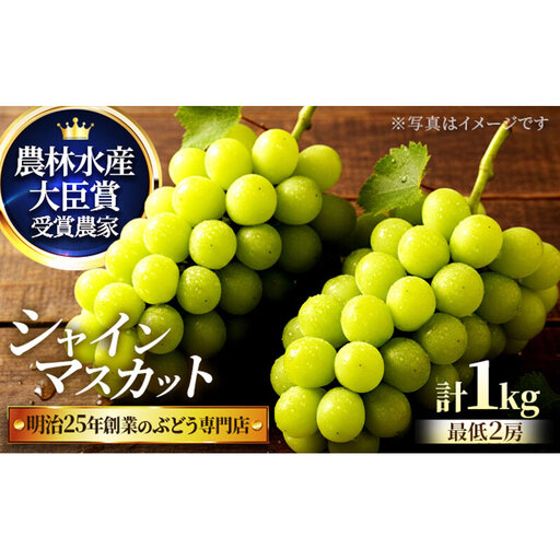 [2026年先行予約]直売所限定販売の数量限定シャインマスカット 約1kg(8月中旬〜9月下旬発送)