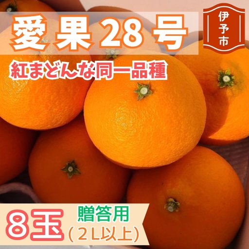 【2026年11月下旬より順次発送】愛果28号 8玉 贈答用｜B548