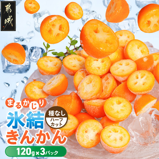 まるかじり氷結きんかん＜種なしハーフカット＞3パック〔11-J7-004-3〕_(都城市) 内山金柑園 完熟きんかん 氷結きんかん 急速冷凍 糖度16％以上 シャーベット