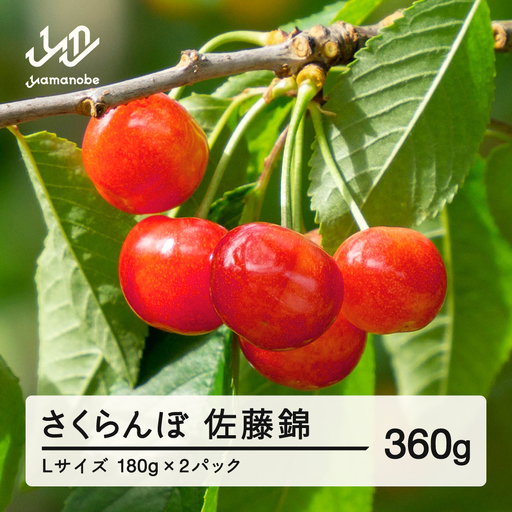 [先行予約]2027年 山形県産 佐藤錦 さくらんぼ Lサイズ 180g 2パック入 ※沖縄・離島への配送不可 ts-snxlp360