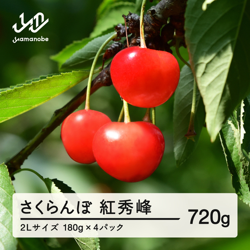 《先行予約》2027年 山形県産 紅秀峰 さくらんぼ 2Lサイズ 180g 4パック入り ※沖縄・離島への配送不可 ts-bs2lp720
