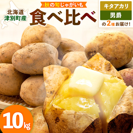 【先行予約】秋の旬 じゃがいも２種食べ比べ 10kg ピンクの八百屋〜ナツやさい〜  | 北海道津別町