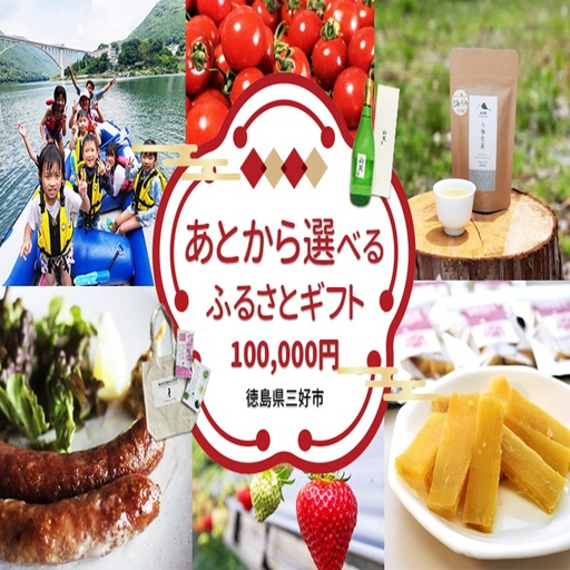 [ 徳島県 三好市 ]あとから選べる カタログ 寄附 10万円コース [ 寄附 ]