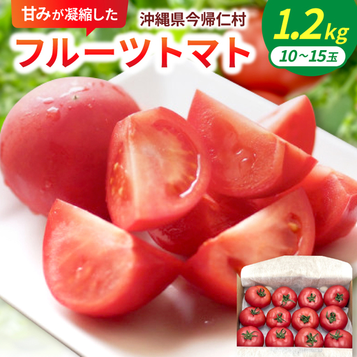 【2027年2月中旬から順次発送】甘みが凝縮したフルーツトマト1.2kg(10玉～15玉)【1726083】