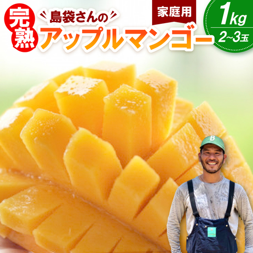 [2027年7月上旬から順次発送・家庭用]島袋さんの完熟アップルマンゴー 1kg(2〜3玉)[配送不可地域:離島]