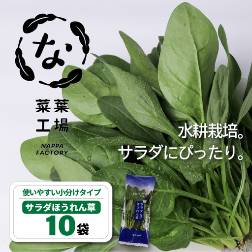 サラダほうれん草 サラダセット | ほうれんそう 水耕 栽培 新鮮 葉物 野菜 ドレッシング 南国市