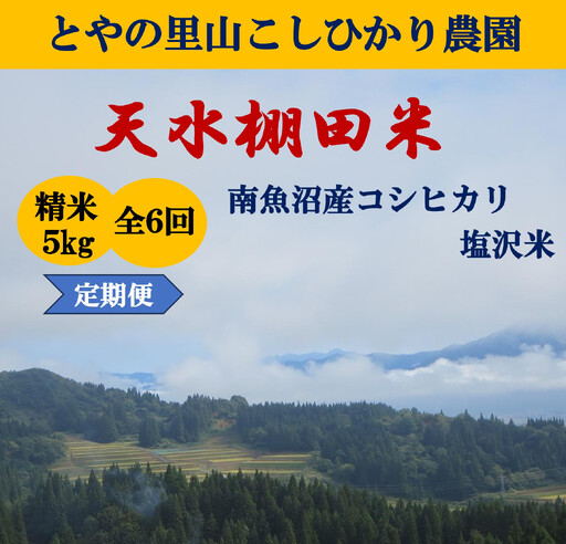 令和8年産新米予約定期便【天水棚田米】雪蔵熟成塩沢産コシヒカリ精米5kg6回「とやの里山継承プロジェクト」【定期便 銘柄米 ブランド米 精米 こしひかり コシヒカリ 魚沼産 新潟米】【2026年10月下旬より順次発送予定】
