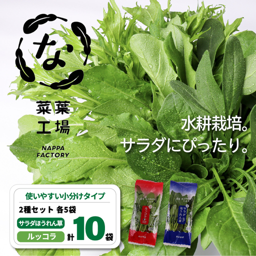 2種セット サラダほうれん草 ルッコラ サラダセット | ほうれんそう 水耕 栽培 新鮮 葉物 野菜 ドレッシング 南国市