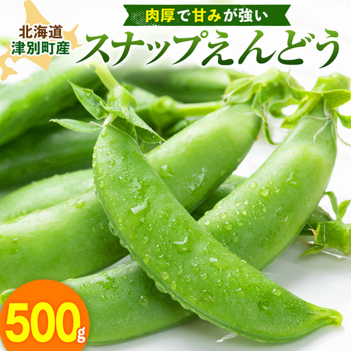 R8年産 スナップえんどう（品種：グルメ） 500g ピンクの八百屋〜ナツやさい〜 | 北海道津別町