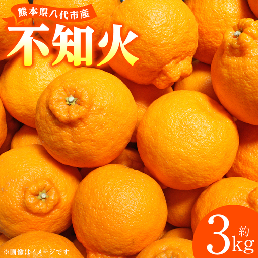 【先行予約】 不知火 約3kg しらぬい 柑橘  【2027年1月中旬より順次発送】
