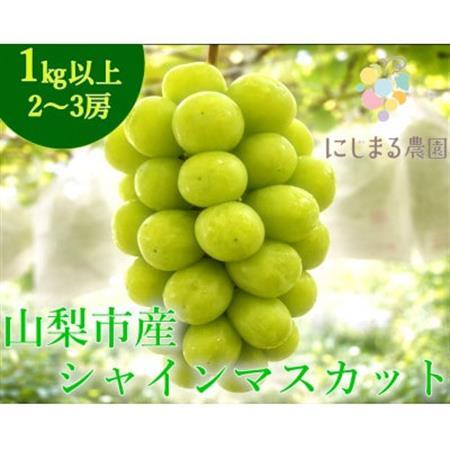 【2026年発送】シャインマスカット 2～3房 (約1kg) 山梨県山梨市産のフルーツ【配送不可地域：離島・沖縄県】【1726268】