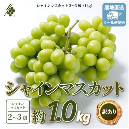 シャインマスカット 2～3房 計1kg 訳あり ご家庭用【配送不可地域：離島・沖縄県】【1729248】