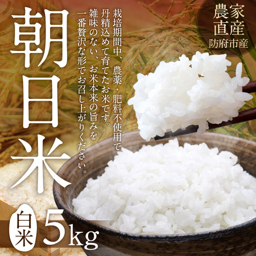 栽培期間中農薬・肥料不使用で作った朝日米 精米5kg 粟屋農場 山口県 防府市 B-B04 精米 朝日米 5kg 栽培期間中農薬不使用 肥料不使用 無農薬 自然栽培 在来種 希少米 佐波川