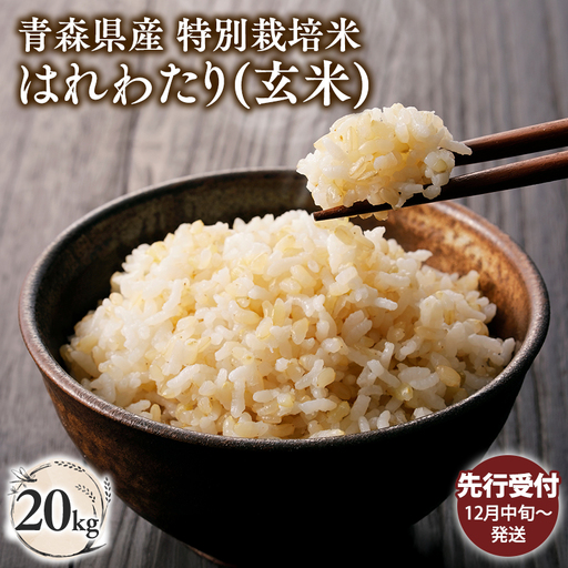 ≪令和8年産 先行予約≫特別栽培米 はれわたり玄米20kg［hi-0062-020-12］