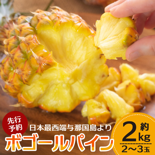[先行予約][2027年5月より順次発送] 与那国島産 ボゴールパイン 2〜3玉セット 約2kg HN-1 | 沖縄県 与那国町 与那国島 パイン パイナップル ボゴール スナックパイン