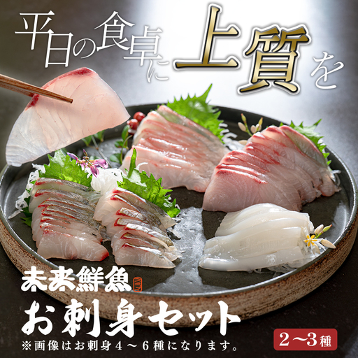 旬のお刺身用 柵セット 2-3種 高知 海鮮 盛り合わせ 食べ比べ 鮮度抜群 刺し身 グルメ 酒の肴