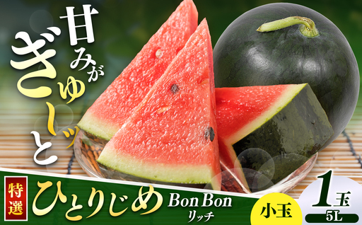 松本市 波田産 小玉すいか ひとりじめBonBonリッチ 5L特選プレミアム(約3.9kg以上)1玉