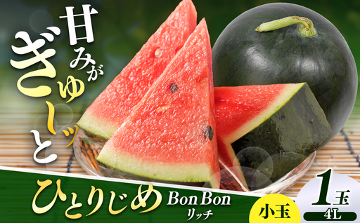 松本市 波田産 小玉すいか ひとりじめBonBonリッチ 4L(2.5㎏～3.2㎏)１玉