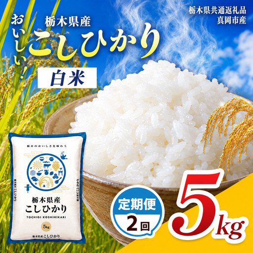 【先行予約】【令和8年度産】定期2回 栃木県産 コシヒカリ 5kg | 栃木県 那珂川町 栃木県共通返礼品